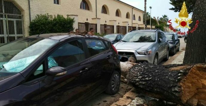 Tragedia sfiorata a Sant’Irene, albero si schianta al suolo