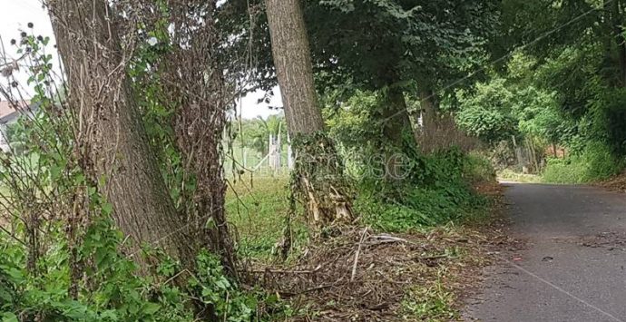 Grave incidente a Pernocari, auto esce di strada e finisce contro un albero