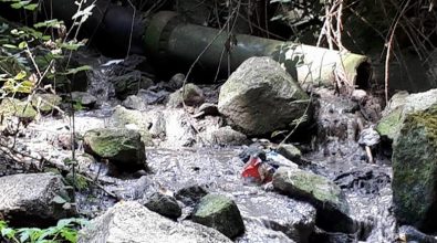 “Bomba” ecologica a Coccorinello di Joppolo, scarichi fognari direttamente nel torrente (VIDEO)