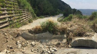 Strada del Mare chiusa, il Comitato: “Si può riaprire, il sindaco di Joppolo non si nasconda”