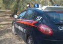Resti umani nelle campagne di Limbadi, indagini da parte dei carabinieri e della Procura di Vibo