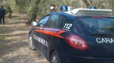 Combustione illecita di rifiuti, una denuncia a Maierato