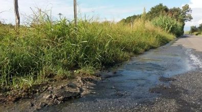 Vibo: “bomba” ecologica lungo la provinciale Triparni-Porto Salvo (VIDEO)