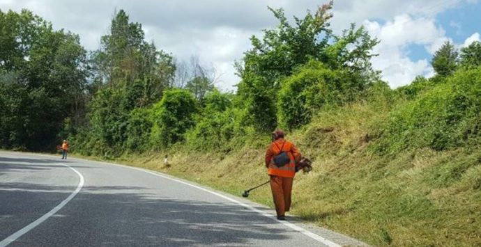 Strade “giungla” nel Vibonese, protocollo d’intesa tra Provincia e Calabria Verde