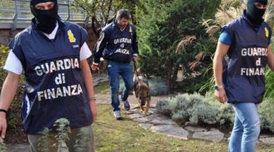 Narcotraffico: inchiesta “Stammer 2”, in 24 con rito abbreviato, in cinque rinviati a giudizio