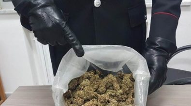 Marijuana nello zaino, un arresto nelle Serre