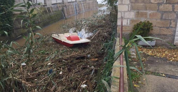 Canne, rifiuti e… pedalò: così il torrente Bravo è diventato una discarica