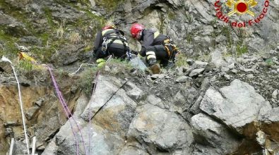 Pastore tedesco salvato dai vigili del fuoco nel Vibonese