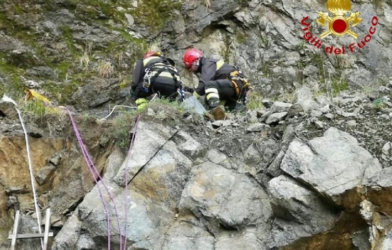 Pastore tedesco salvato dai vigili del fuoco nel Vibonese