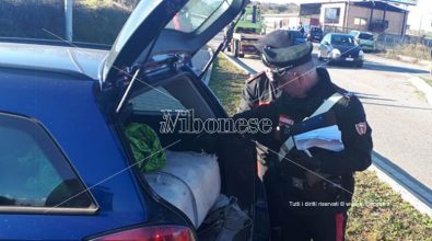 In auto con carico di marijuana, corriere bloccato dai carabinieri a Sant’Onofrio – Foto-Video