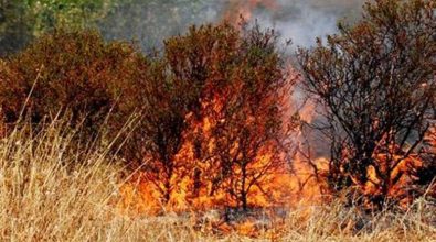 Incendio del costone fra Coccorino e Joppolo, assolto l’imputato