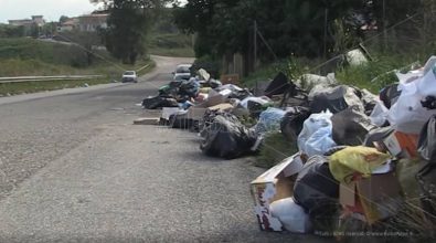 Caos rifiuti a Vibo, Claudia Gioia: «Comune assente»