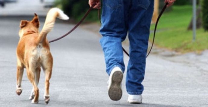 Tropea, una taglia sui proprietari dei cani che sporcano