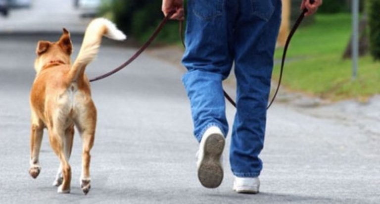 Tropea, una taglia sui proprietari dei cani che sporcano