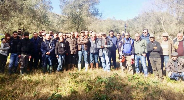 A Stefanaconi il corso teorico-pratico di potatura dell’olivo dell’Arsac