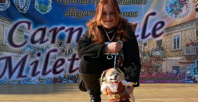 A Mileto anche i cani sfilano in maschera, il chihuahua disabile Hook si aggiudica il primo premio