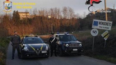 Carabinieri e Finanza in azione nel Vibonese, multe per trentamila euro