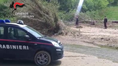 Tagliavano alberi vicino al lago Angitola, scoperti dai carabinieri