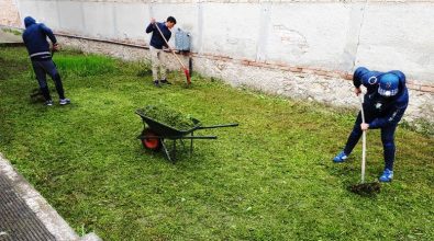 Paravati, i giovani ripuliscono le aree verdi del paese