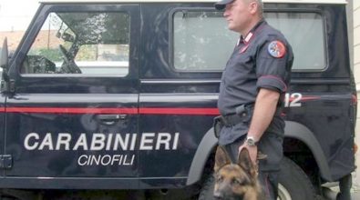 Droga, blitz dei carabinieri in tre regioni: perquisizioni anche a Vibo – Video