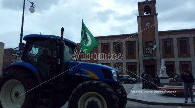 Emergenza cinghiali, gli agricoltori annunciano lo «sciopero del voto»