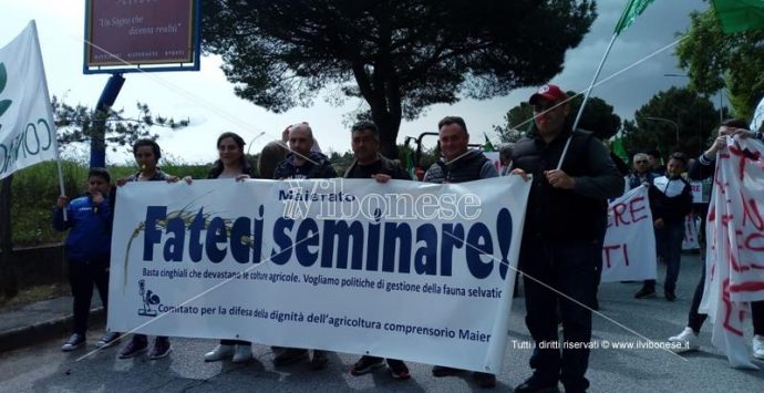 Emergenza cinghiali: agricoltori in piazza a Vibo – Foto