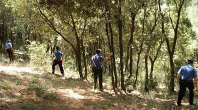 Si allontana da casa a Vallelonga senza farvi rientro, al via le ricerche