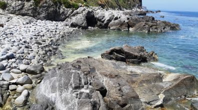 Mare “giallo”, nuove segnalazioni. Ma anche il Wwf conferma: è polline