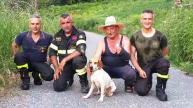 Cane si perde e sprofonda in un dirupo, ritrovato dai Vigili del fuoco