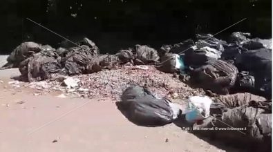 Rombiolo, zona industriale trasformata in discarica – Video