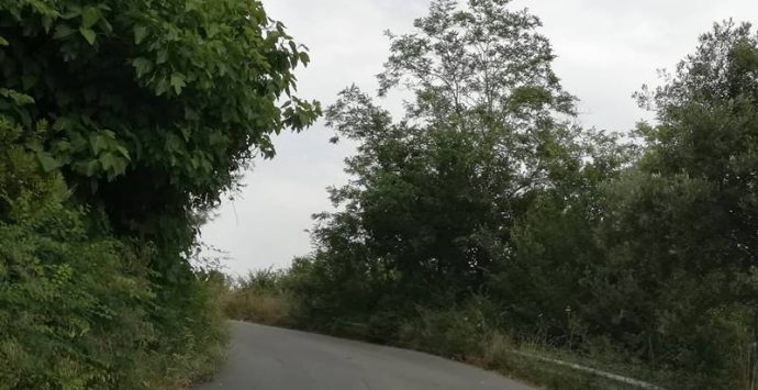 Strada invasa dalle sterpaglie, imprenditore chiede di pulire a proprie spese