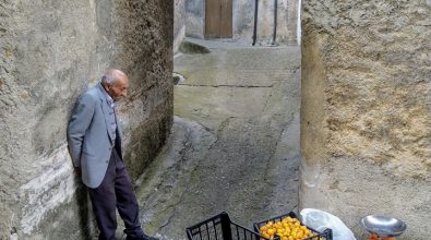 “Il venditore di Nespole”, la foto diventata virale scattata da un vibonese