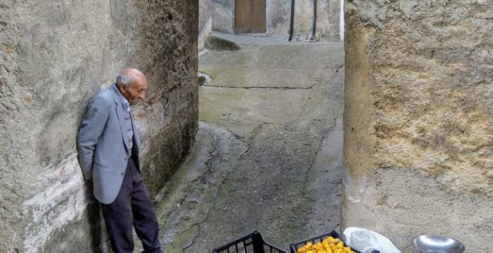 “Il venditore di Nespole”, la foto diventata virale scattata da un vibonese