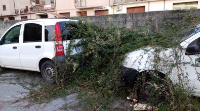 Vibo, auto abbandonate avvolte dai rovi: l’appello di un cittadino