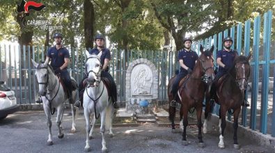 Carabinieri a cavallo nelle Serre vibonesi alla ricerca di piantagioni di marijuana