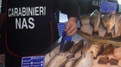 Serra San Bruno, sequestrati 50 chili di pesce e chiusa una pescheria