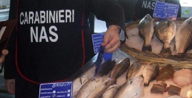 Serra San Bruno, sequestrati 50 chili di pesce e chiusa una pescheria