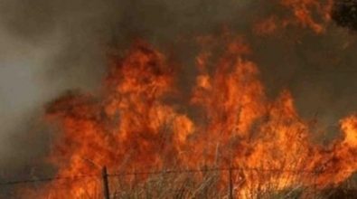 Fiamme nell’area archeologica di Vibo, a rischio i resti dell’antico tempio