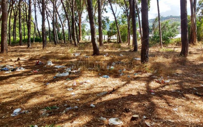 Viaggio a Colamaio dopo Ferragosto, distesa di rifiuti in pineta e sulla spiaggia – Video