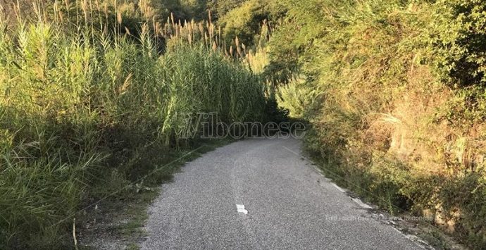 Joppolo-Monte Poro in abbandono, l’Udicon: «Urgono chiarimenti sulla messa in sicurezza»