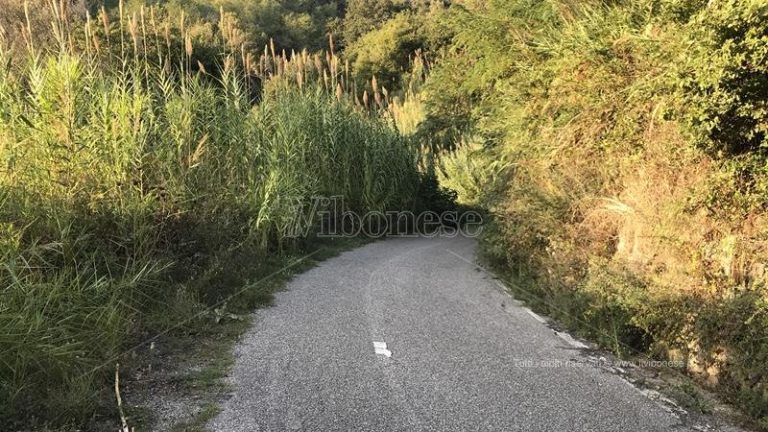 Joppolo-Monte Poro in abbandono, l’Udicon: «Urgono chiarimenti sulla messa in sicurezza»