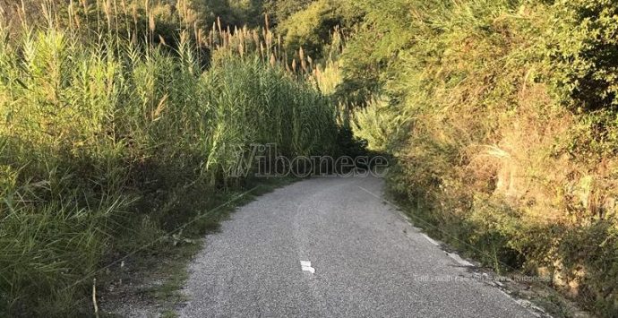 Strada Joppolo-Monteporo nell’abbandono, la protesta dei consiglieri di minoranza