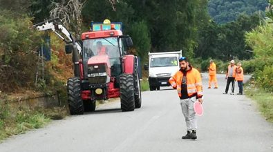 Prevenzione incendi, Pitaro: «Disposta pulizia di 600 chilometri di strade nel Vibonese»