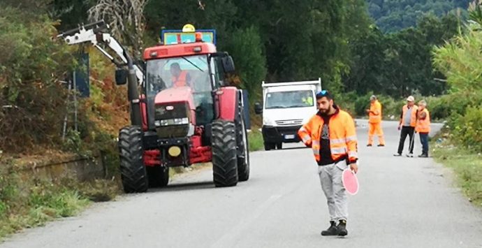 Prevenzione incendi, Pitaro: «Disposta pulizia di 600 chilometri di strade nel Vibonese»