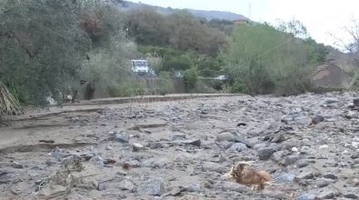 Maltempo, campi allagati tra Nicotera e Rosarno – Video