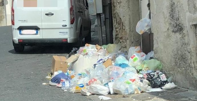 Cumuli di rifiuti in alcune vie di Vibo Valentia – Foto
