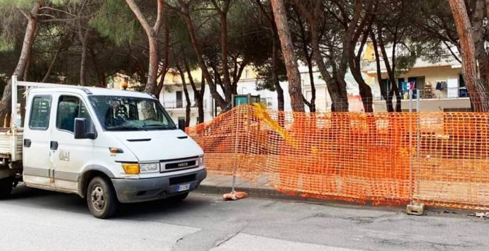 Vibo Marina, avviata la riqualificazione della pinetina