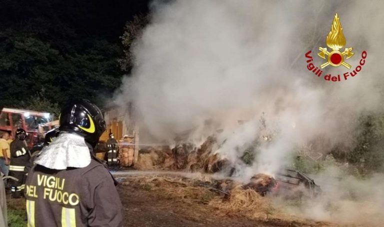 Incendio in una stalla ad Arena, vigili del fuoco salvano gli animali – Video