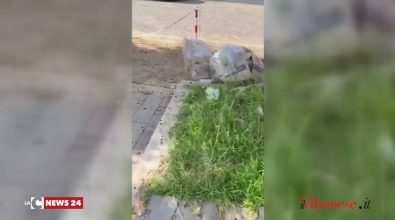 Via Emilia a Vibo Marina, da viale esclusivo a strada della vergogna – Video