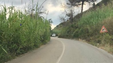 Degrado lungo la Ss522 Pizzo-Vibo Marina, la Fit-Cisl: «Strada impercorribile»
